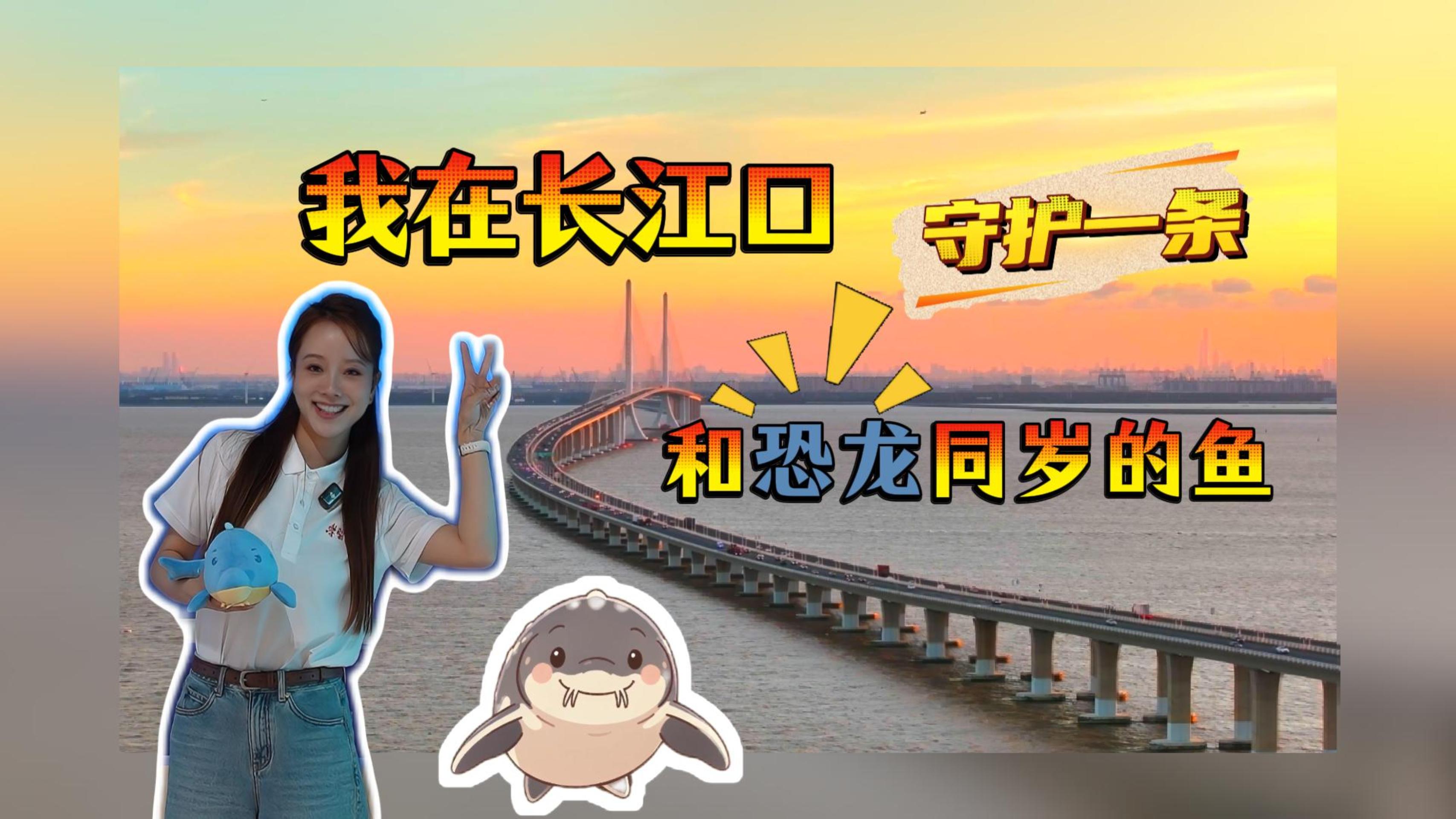 我在长江口，守护一条和恐龙同岁的鱼