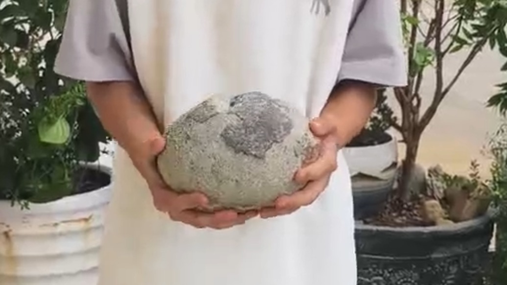 河源12岁少年花盆里发现恐龙蛋化石，同村30年前曾有先例