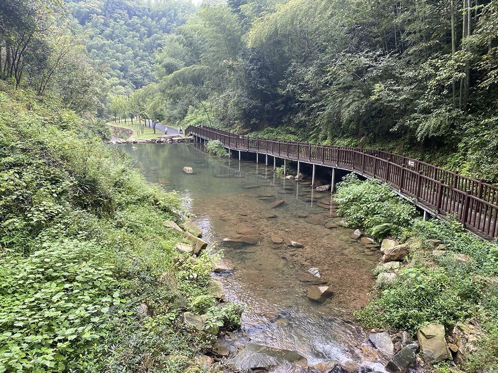 奔赴“县”场 | 走进霍山，大别山的“红”与“绿”超乎想象