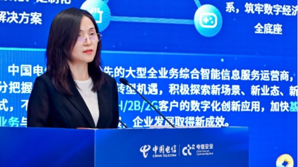 韩芳任中国电信集团有限公司总审计师