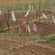 佛山照明：为盘活资产将汾江北路中区地块挂账收储，预计净收益约3.4亿元