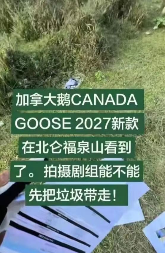 马上评｜加拿大鹅就扔垃圾道歉，环保不该只在口头