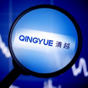 *ST清越：因欺诈发行及信披违法，公司被证监会警告、责令改正，罚款超1.7亿元