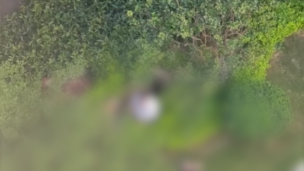 34岁女业主在小区草坪坠井身亡，广州增城区成立专班调查