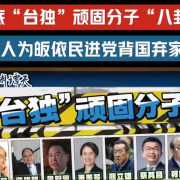 玉渊谭天丨拆解14人“台独”顽固分子关系网