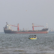 国际海事组织秘书长：霍尔木兹海峡通行风险仍高