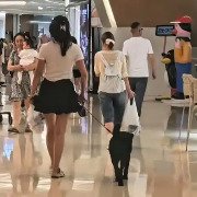 成都商场允许犬只进入是否违反四川省预防控制狂犬病条例？警方答疑