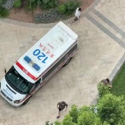 重庆：父亲遛狗时两岁幼童从18楼家中坠亡，母亲以“过失致人死亡”报案获警方受理