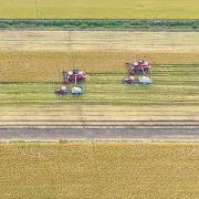 国家统计局：全年粮食有望再获丰收
