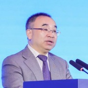 社保基金会原党组成员、副理事长王文灵被“双开”