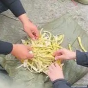 四川马边县通报“硫磺熏制鲜竹笋”：对涉事人员依法开展调查取证