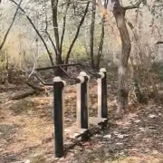 马上评｜荒郊野地安装健身器材，这不是摆设吗