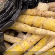 四川古蔺县通报“硫磺熏制鲜竹笋”：对涉案人员立案调查