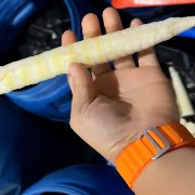 四川马边县发布“硫磺熏制鲜竹笋出售”情况通报