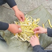 四川多地曝出硫磺熏笋，人民日报微博：熏黑经营良心，熏砸地方招牌