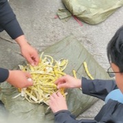 四川多地曝出硫磺熏笋，人民日报微博：熏黑了经营良心，熏砸了地方招牌