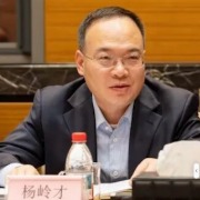 中国电信甘肃分公司原党委书记、总经理杨岭才被查
