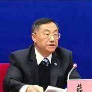 中国南方电网有限责任公司专家委员会原专职委员薛武被查