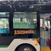 见微知沪｜从“站站停”到“按需停”，响应式公交更加考验“绣花功夫”