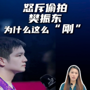 马上评｜怒斥偷拍，樊振东为什么这么“刚”