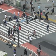 今年前9个月中国内地访日游客数量同比下降55.5%