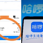 车主反映接单收到疑似招嫖留言，哈啰顺风车客服：正处理，将监控涉事乘客账号
