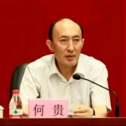 重庆市原江北区委副书记、区长何贵被查