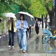 台风“蔷琵”明起携风雨影响上海，周日上午起风雨逐渐减弱