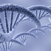 新研究首次阐述“平均”人类基因组预期特征：可基于遗传特征判定疾病风险