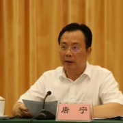 私欲膨胀、毫无纪法底线，广西壮族自治区人民政府原副秘书长唐宁被开除党籍
