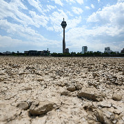 研究：今夏欧洲或有5万多人死于高温，三分之二死亡可归因气候变化