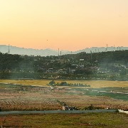 空气弥散辣椒味市民咳嗽，云南腾冲：辣椒工厂烤房起火所致