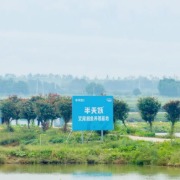 一条叉尾鮰鱼从塘口“游”上半天妖烤鱼餐桌的背后