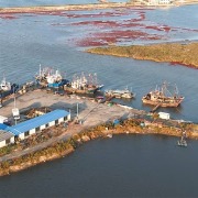 人民日报关注营口市老边区违规码头越建越大，当地通报：已关停涉事码头