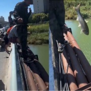 汕头通报钓鱼者踩断大桥管道：共3人落水，其中1人已无生命体征