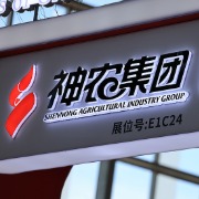 云南养猪龙头神农集团前三季度净亏9.71亿元，营收同比增长5%