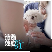 “中国兽医日”特别策划：怎么养我们的宠物，才能让它们少生病？｜涟漪效应