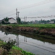 澎湃回声｜扬州“村干部成立公司2年中标本村14个工程”续：涉事村支书被党内警告