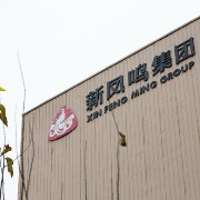 新凤鸣第三季度净利暴增6倍、超去年全年：涤纶长丝景气回升