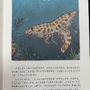 科普丛书出现“双头虾”配图，中国农业出版社：已与平台联系，购书者可退款