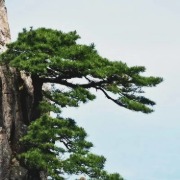中国美术学院原党委书记王邦铎逝世，曾任杭州市副市长
