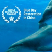 “中国蓝色海湾整治行动”获评2026年联合国“世界生态恢复旗舰项目”