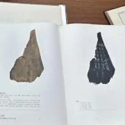 全球规模最大甲骨著录检索平台在沪成立，免费向公众开放