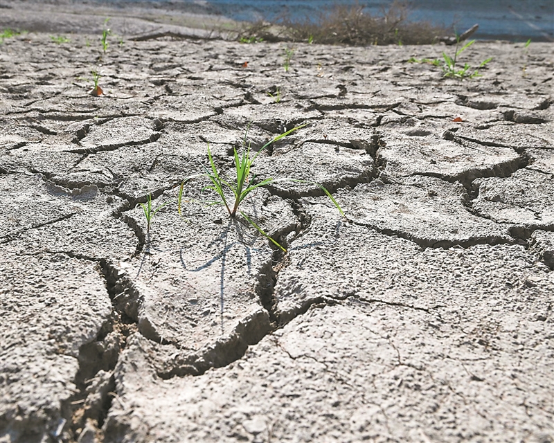 联合国环境规划署最新报告称：未来几年全球升温1.5℃已难以避免_科学湃