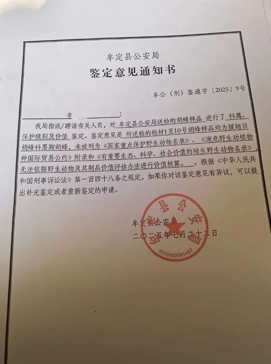 媒体：两幼童被胡蜂蜇死案开庭，养蜂人“不认罪、不认错、不道歉”
