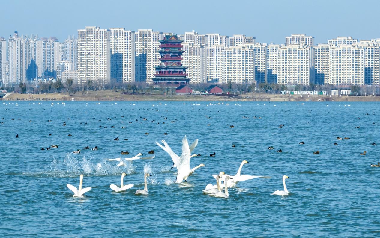 “蔚然新滁州”2026滁州市第六届网络评论大赛启动