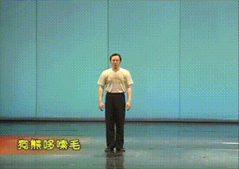 光明日报：“闪身步”和“狗熊哆嗦毛”为什么这么火？