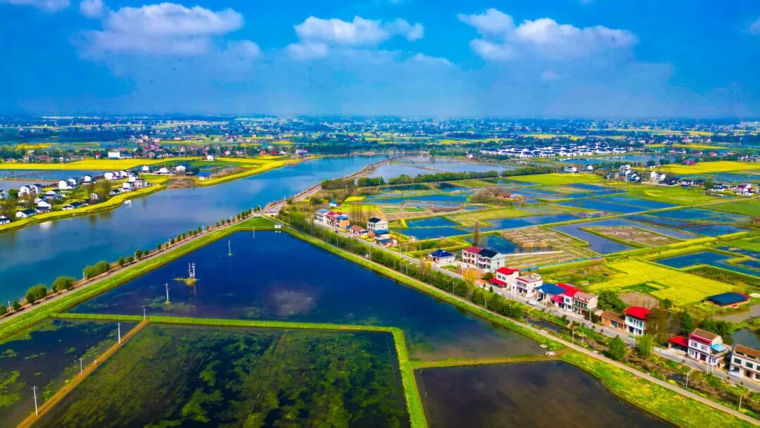 奔赴“县”场｜湖南南县：那一抹藏不住的屋顶红