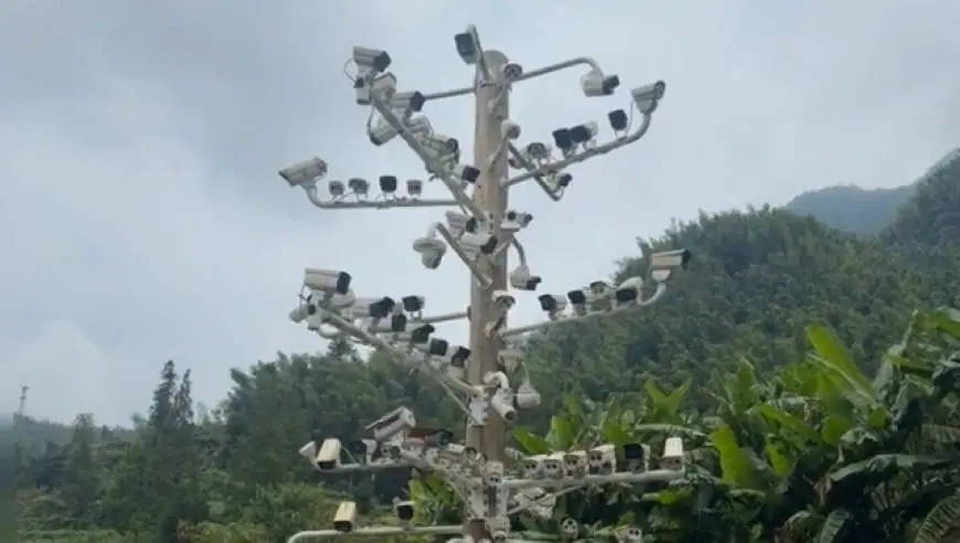 游客称在萍乡一村庄发现一根杆子上装了84个监控，村干部：是一个打卡点，只有一个监控有用，其他都是装饰的坏设备
