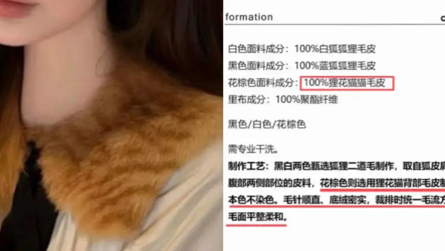 “选用100%狸花猫背部毛皮制作”，大量网友抵制！涉事女装网店道歉：立即下架，暂停生产